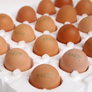 무항생제 방사 유정란 계란 40알 / 동물복지농장 직송