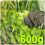 유기농 모듬 쌈채소 600g / 산지직배송