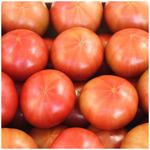 달기농장 유기농 토마토 5Kg